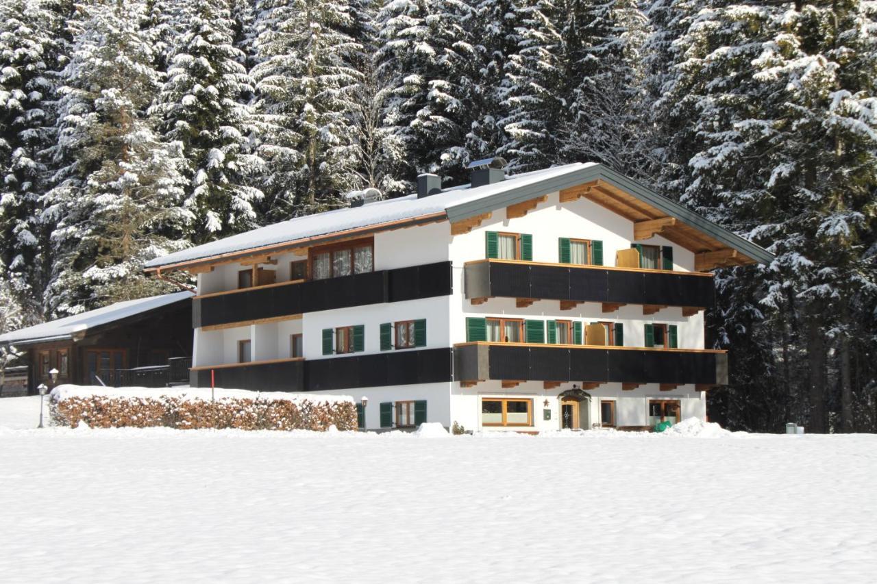 Otto Steiner Appartements Pension Ellmau & Wilder Kaiser المظهر الخارجي الصورة