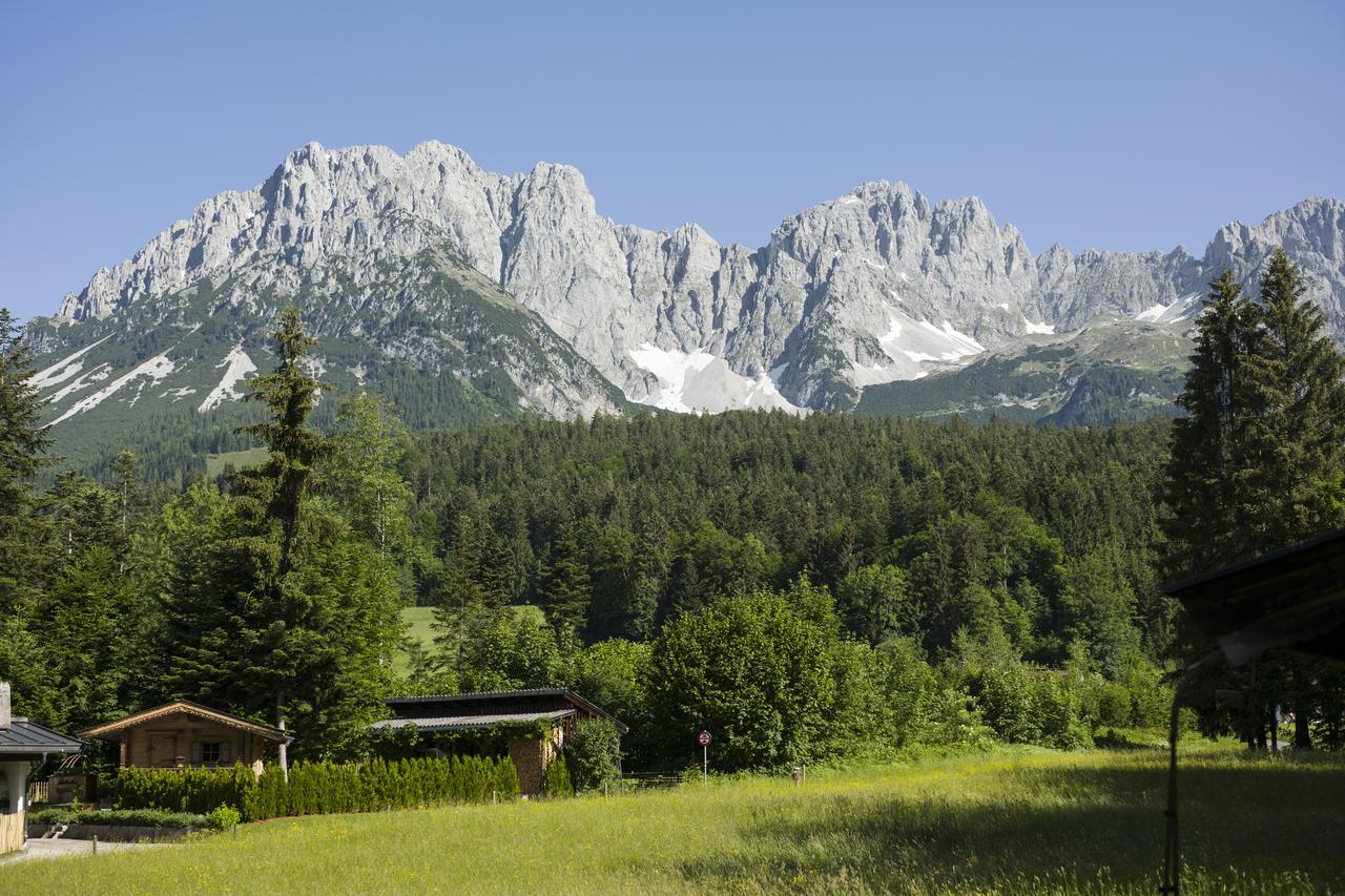 Otto Steiner Appartements Pension Ellmau & Wilder Kaiser المظهر الخارجي الصورة